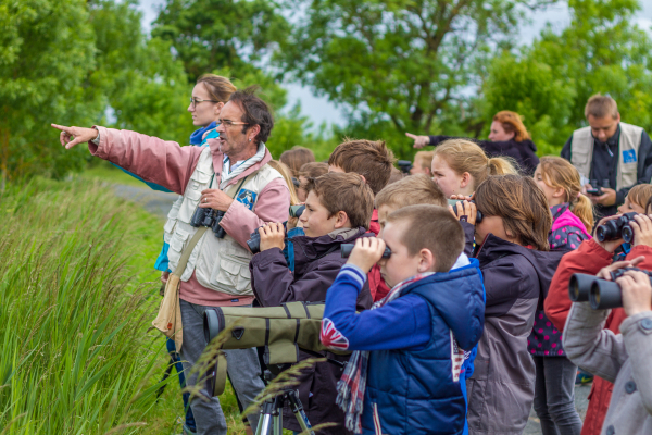 Observation de cigognes durant la Fête de la Nature